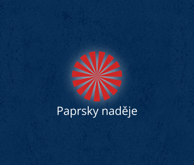 Příspěvek spolku Paprsky naděje na pomoc a podporu ZTP osob