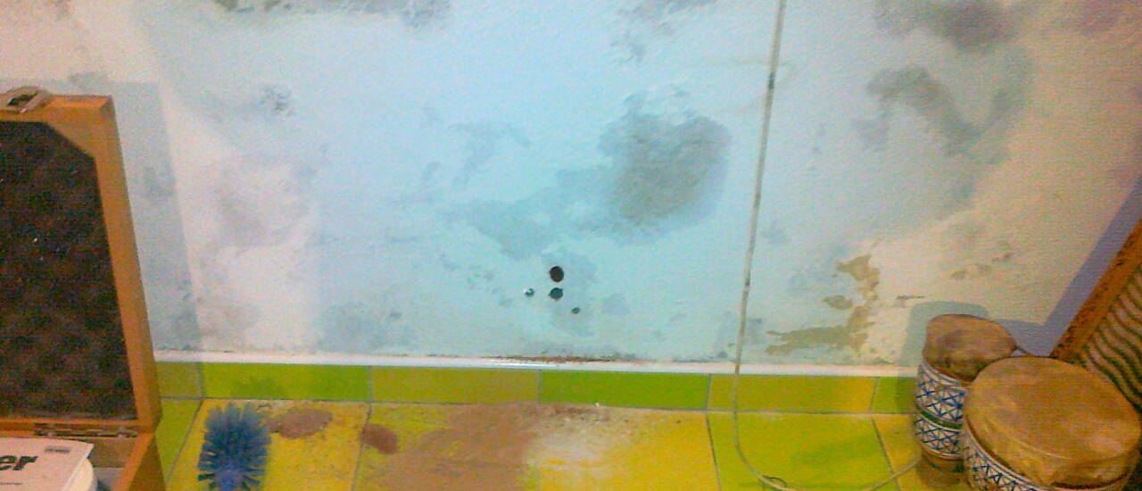 Jak se zbavit vlhkosti v domě a plísně na zdi