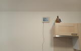 Drying of moisture in a municipal apartment building with a Drypol device - #7