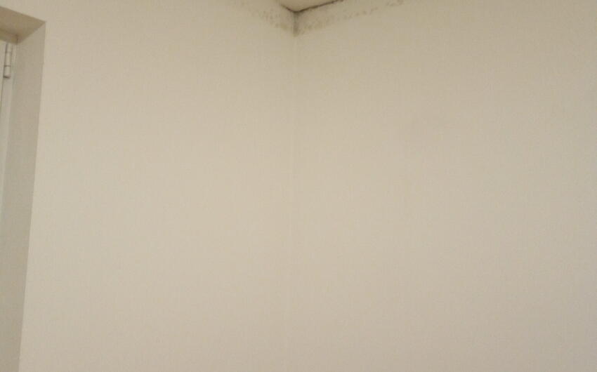 Drying of moisture in a municipal apartment building with a Drypol device - #2