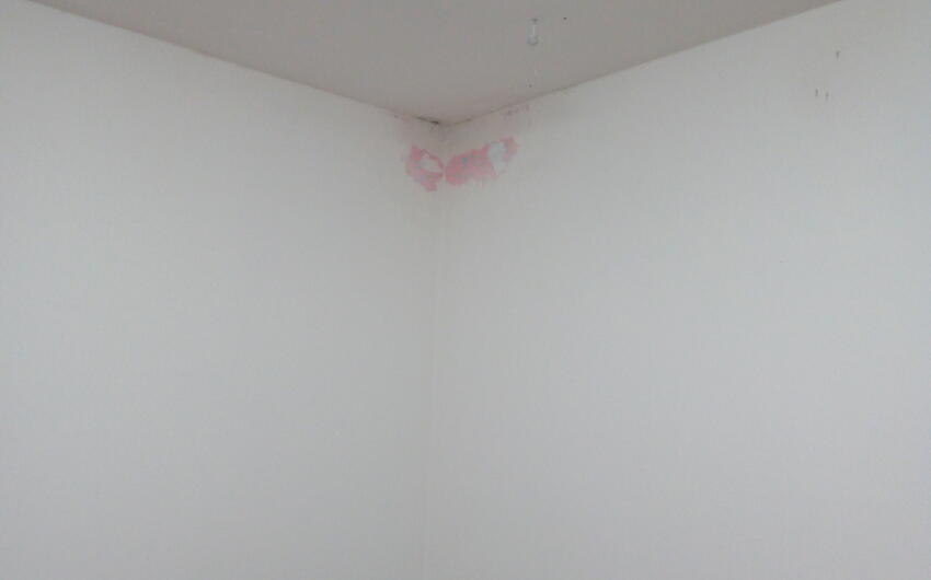 Drying of moisture in a municipal apartment building with a Drypol device - #4