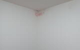 Drying of moisture in a municipal apartment building with a Drypol device - #4