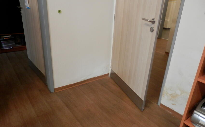 Removal of moisture and wet stains on the walls of a grammar school in Třebíč - #3