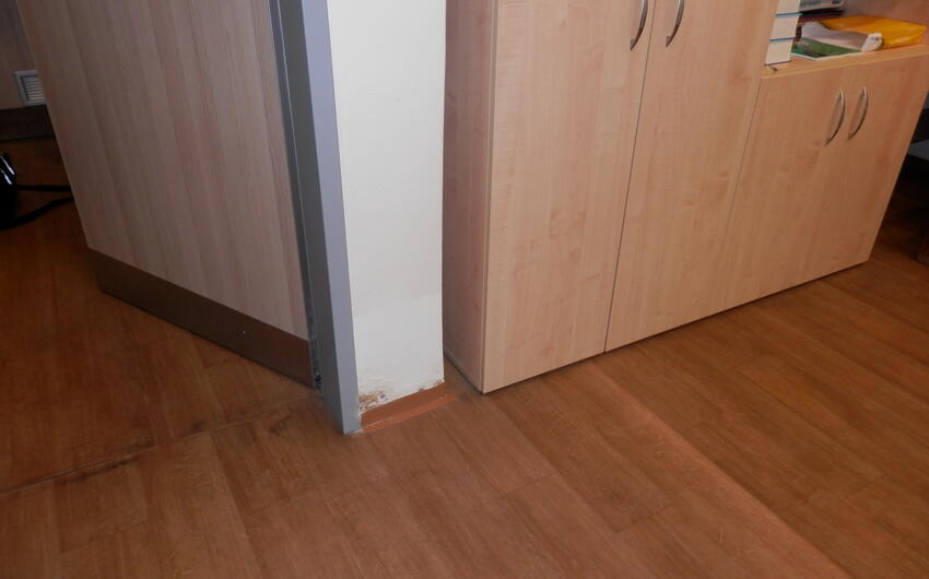 Removal of moisture and wet stains on the walls of a grammar school in Třebíč - #4