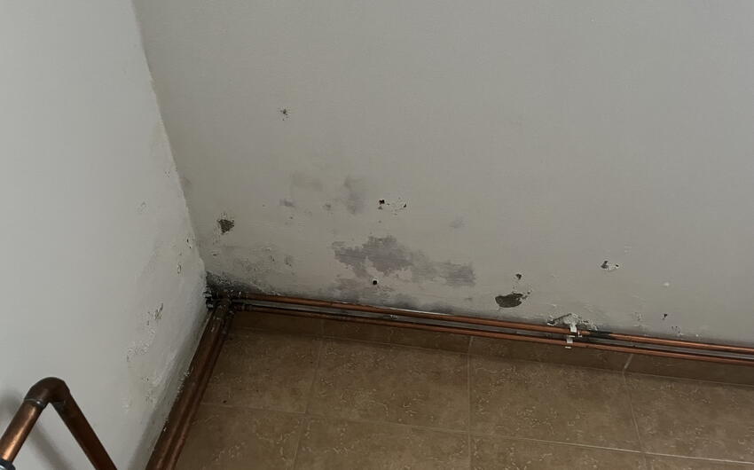 Installation eines DryPol®-Geräts in einem Haus in Zbraslavice - #1