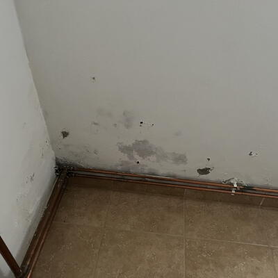 Installation of a DryPol® device in a house in Zbraslavice