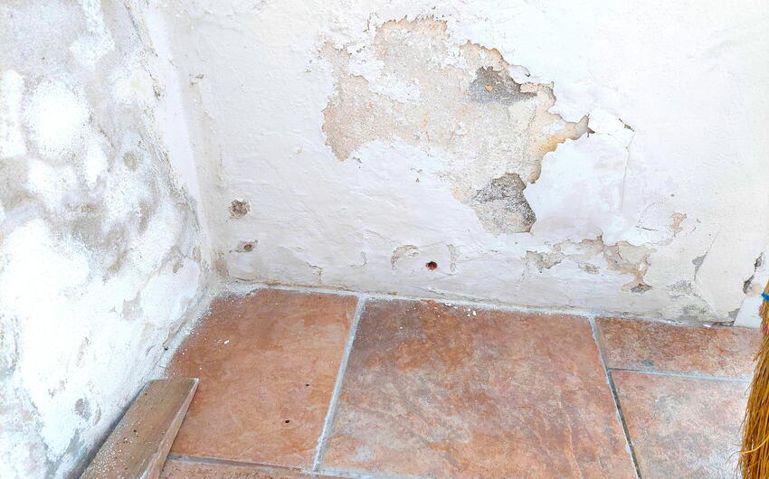 Beseitigung der aufsteigenden Bodenfeuchtigkeit der Falknerei in Sobotovice - #7