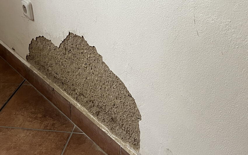 Mauerwerkstrocknung mittels milder kabelloser Elektroosmose (8 Jahre nach Verfugung) - #4