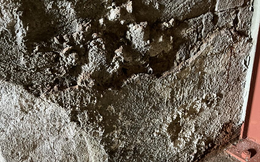 Wir trocknen ein weiteres Mehrfamilienhaus in Karlsbad - #1