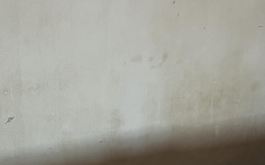 Deumidifichiamo il piano terra di una casa di campagna a Štepánovice. - #3