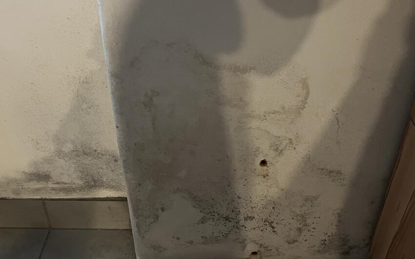 Deumidifichiamo una fattoria di 150 anni a Horní Bukovina. - #3