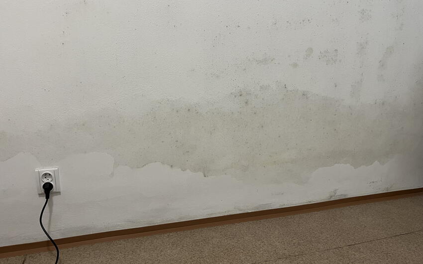 A Praga stiamo asciugando uno degli appartamenti di una casa più grande in pietra arenaria e mattoni - #2