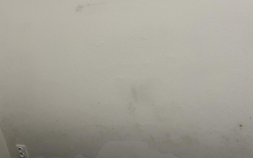 A Praga stiamo asciugando uno degli appartamenti di una casa più grande in pietra arenaria e mattoni - #3