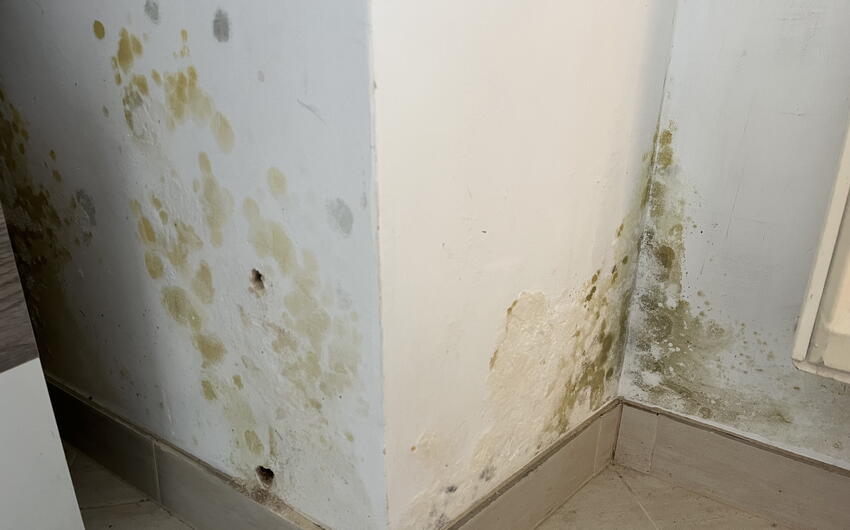 A Praga stiamo asciugando uno degli appartamenti di una casa più grande in pietra arenaria e mattoni - #4