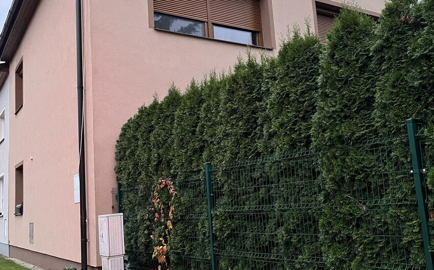 Stiamo prosciugando una casa familiare a Ledce vicino a Hradec Králové - #1