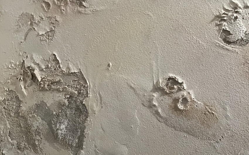 Deumidificazione di un condominio a Praga dove l'intero seminterrato è bagnato - #5