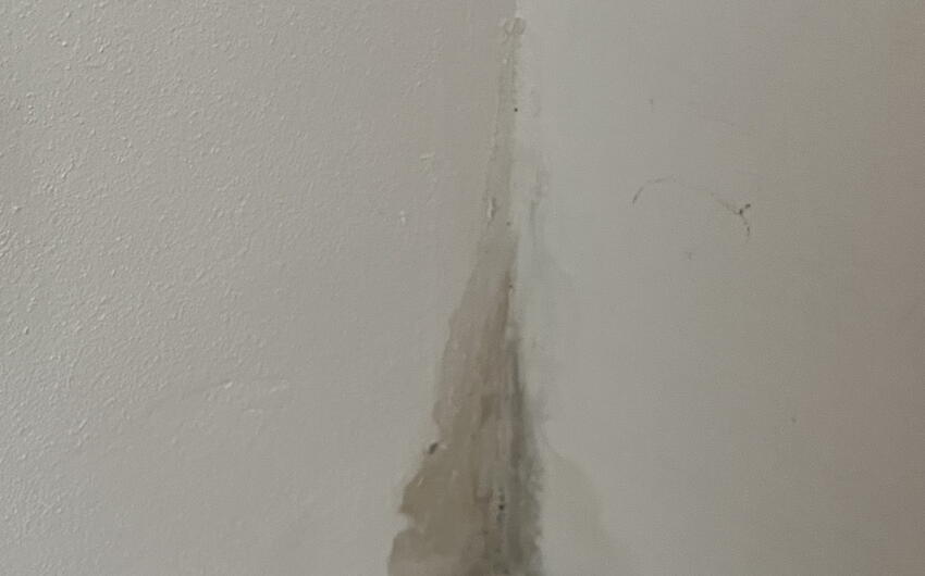 Stiamo prosciugando una casa di famiglia a Pardubice - #2