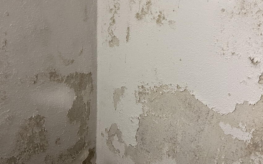 Stiamo prosciugando una casa di famiglia con un seminterrato completo a Sokolov - #2