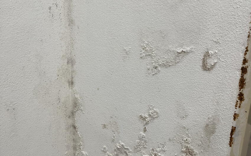 Stiamo asciugando l'edificio ZUŠ a Kadaň - #10