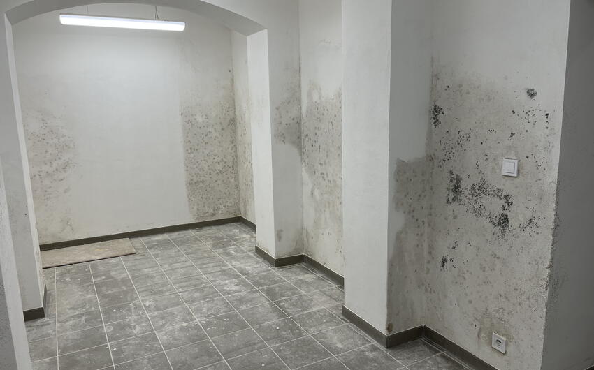 Stiamo asciugando l'edificio ZUŠ a Kadaň - #2