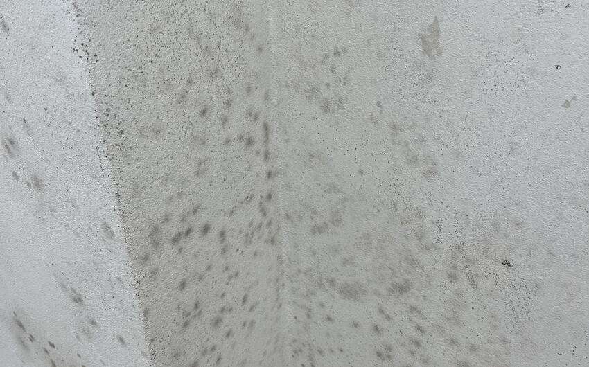 Stiamo asciugando l'edificio ZUŠ a Kadaň - #5