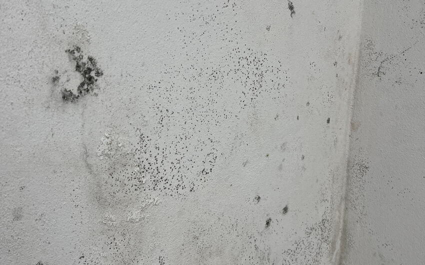 Stiamo asciugando l'edificio ZUŠ a Kadaň - #6