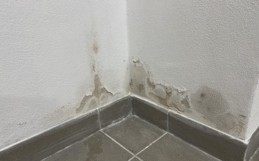 Stiamo asciugando l'edificio ZUŠ a Kadaň - #7