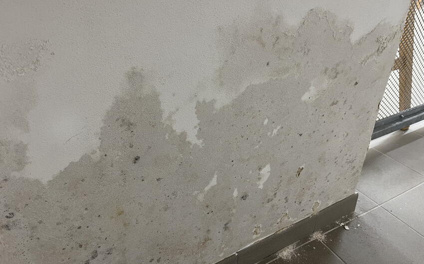 Stiamo asciugando l'edificio ZUŠ a Kadaň - #8