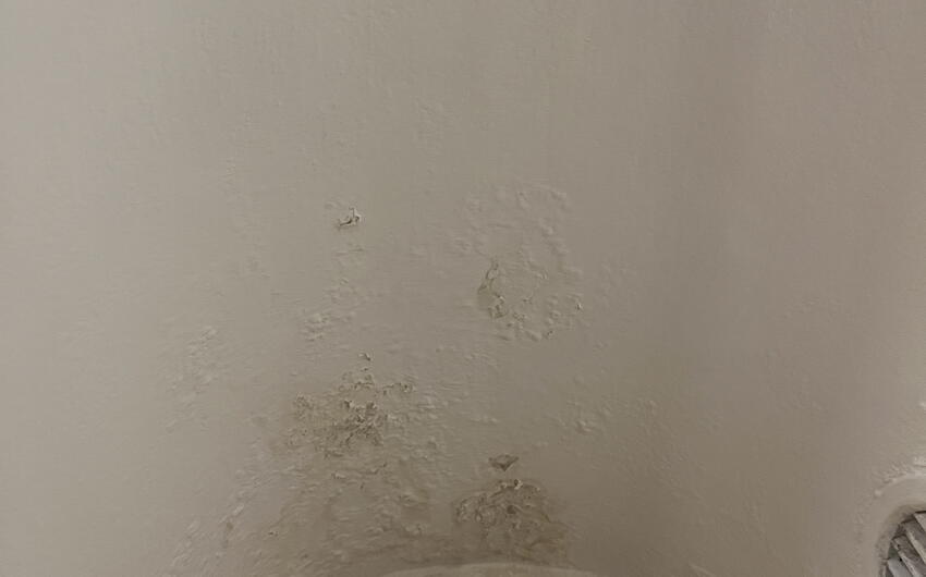 Stiamo asciugando una casa di oltre 250 anni a Nejdek - #4