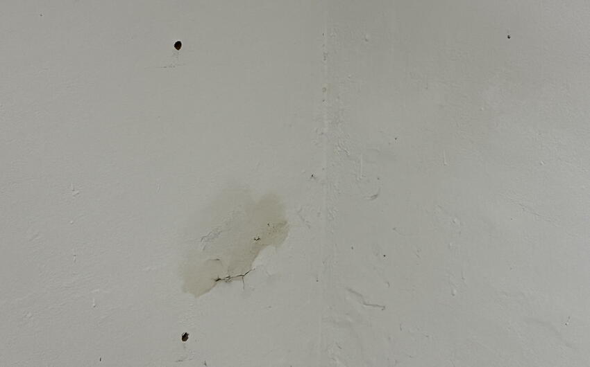 Stiamo asciugando un appartamento seminterrato in un condominio a Praga - #3