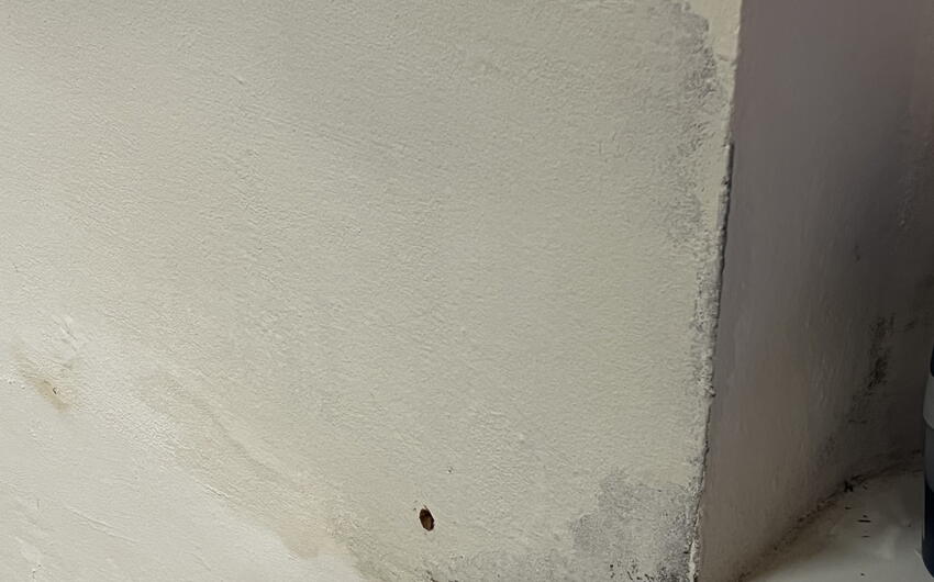 Stiamo asciugando un appartamento seminterrato in un condominio a Praga - #4