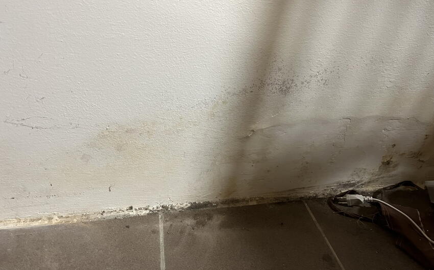 Stiamo deumidificando una casa di famiglia del 1850 a Dolní Louka - #2