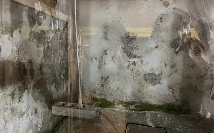 Abbiamo iniziato a deumidificare un'altra casa a Ústí nad Labem - #3