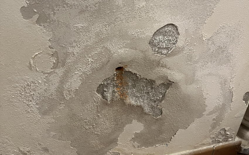 Wir lassen ein Ferienhaus an einem Hang in Nezdice im Böhmerwald trocknen - #2