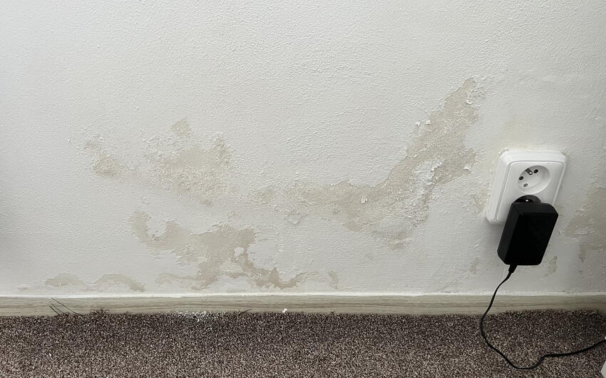 Wir trocknen ein sehr feuchtes Einfamilienhaus in Lukohořany - #2