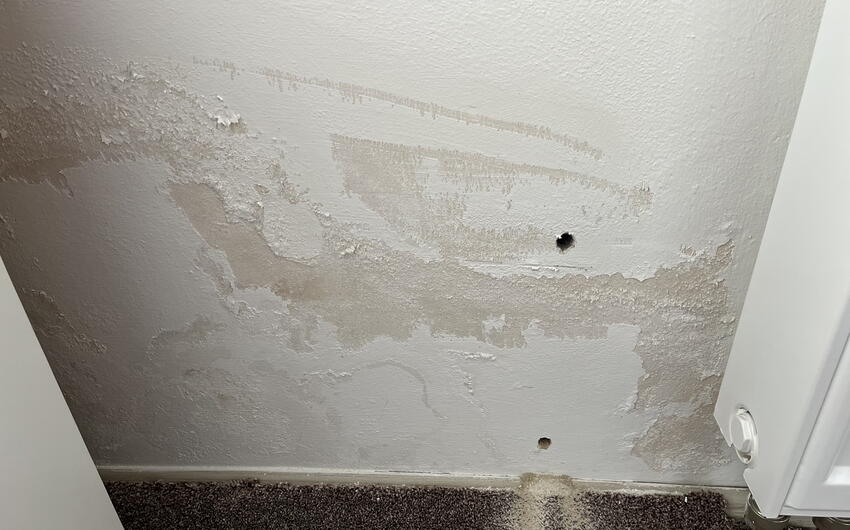 Wir trocknen ein sehr feuchtes Einfamilienhaus in Lukohořany - #3