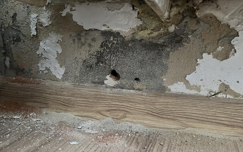 Wir trocknen ein älteres Einfamilienhaus in Přelíc in Mittelböhmen - #3